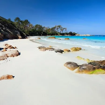 公寓 T2 Agosta 100m De La 波尔蒂乔