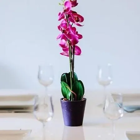 T2 Agosta 100m De La *