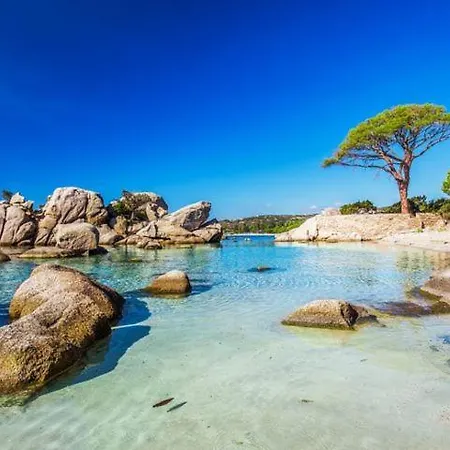 T2 Agosta 100m De La Porticcio (Corsica)