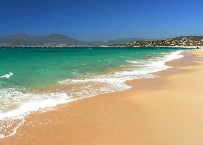 Appartement T2 Agosta 100m De La Porticcio (Corsica)