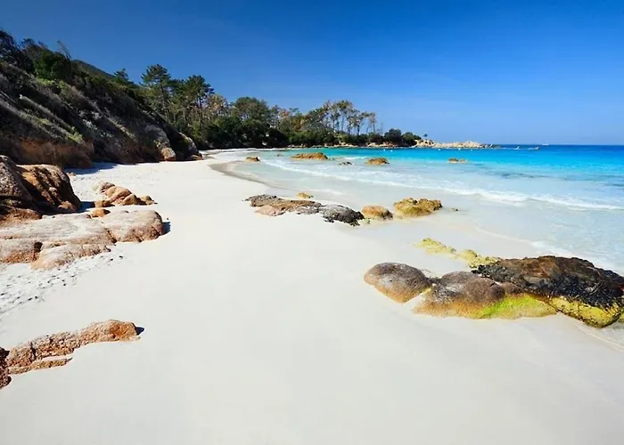 Appartement T2 Agosta 100m De La Porticcio (Corsica)