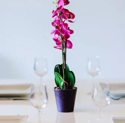 T2 Agosta 100m De La *